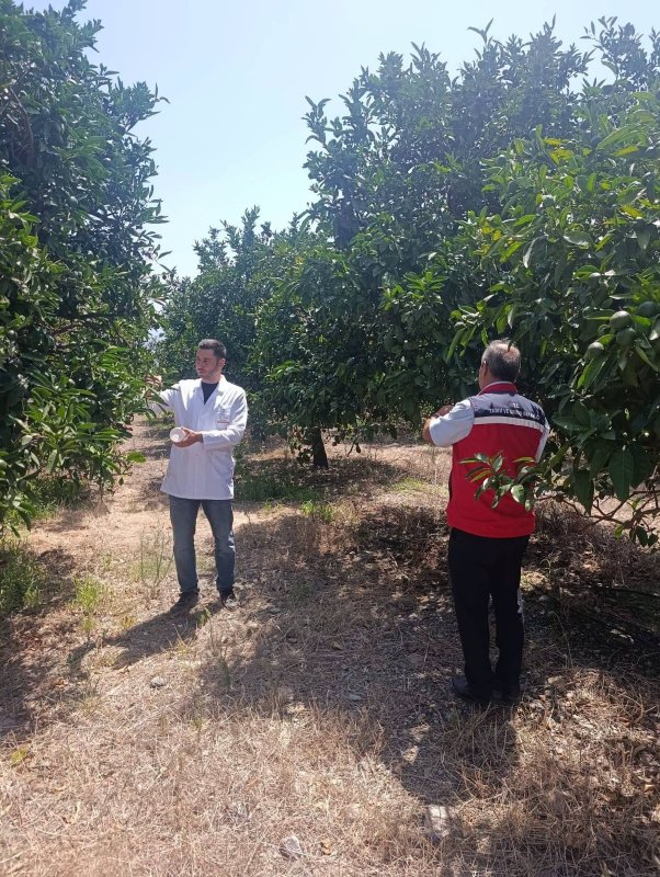 Hatay Tarım ve Orman İl Müdürlüğü,