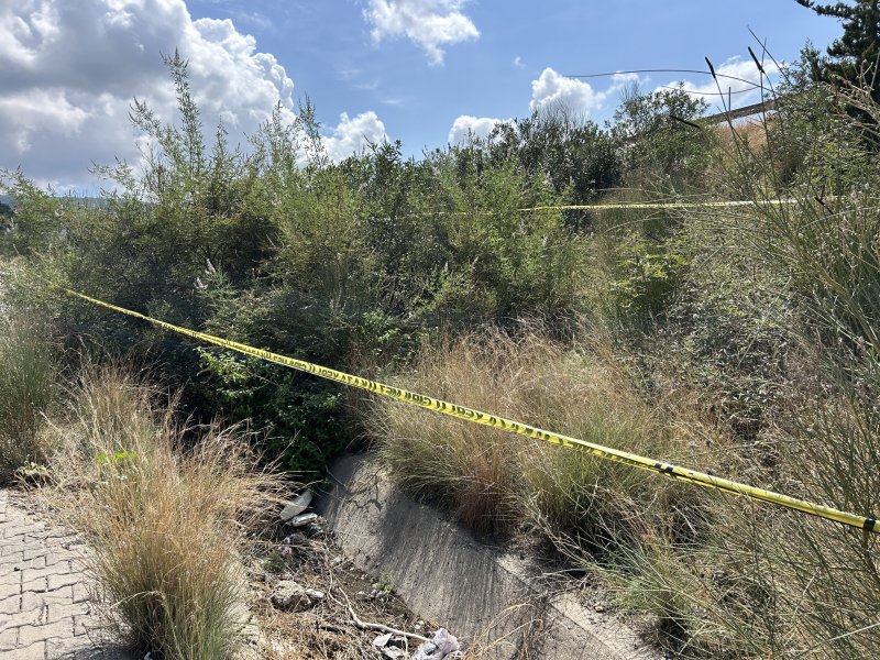 Kahve içmeye çağırıp, altınları için sopayla döverek öldürmüş