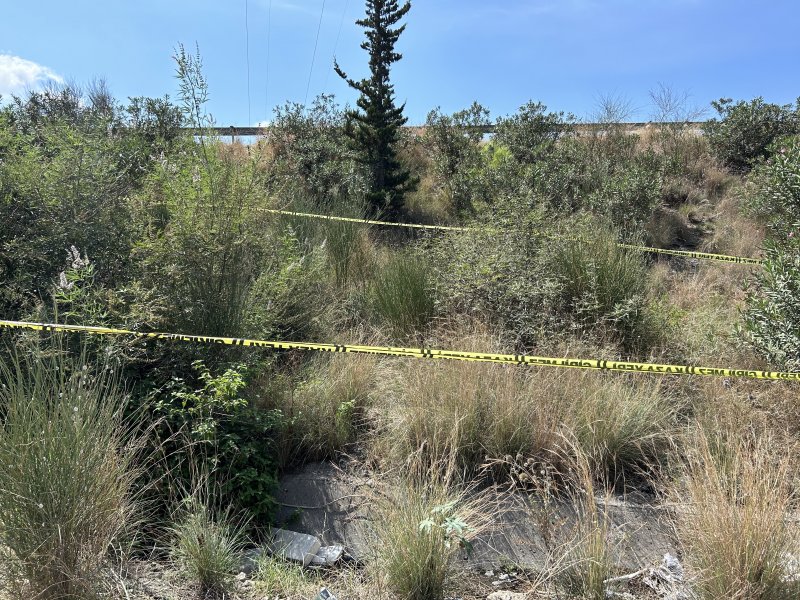 Kahve içmeye çağırıp, altınları için sopayla döverek öldürmüş