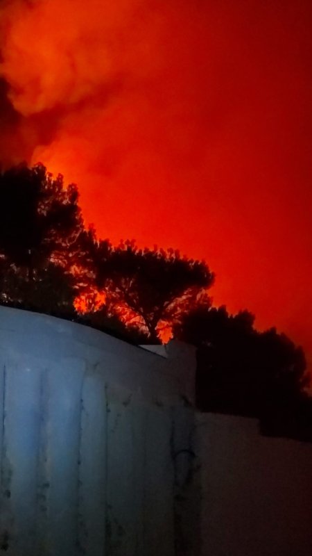 Elektrik tellerinden çıkan yangında ağaçlık alan alevlere teslim oldu (Fotoğraflı - Görüntülü) Ogün Aslan HATAY (İHA) - Hatay’ın Arsuz ilçesinde elektrik tellerinde çıkan yangın, ekiplerin müdahalesiyle büyümeden kontrol altına alındı. Yangın, gece saatlerinde Arsuz ilçesi Aşağı Kepirce Mahallesi'nde bulunan ağaçlık alanda çıktı. Elektrik tellerinde çıkan yangın, ormanlık alana sıçradı. Ormanlık alandan kısa sürede alevler yükseldi. Yangının fark edilmesi üzerine bölgeye itfaiye ve Orman Bölge Müdürlüğü ekipleri sevk edildi. Kısa sürede bölgeye gelen ekiplerin ve arazözlerin müdahalesiyle yangın büyümeden kontrol altına alındı. Kontrol altına alınan ormanlık alanda soğutma çalışmaları devam ediyor.