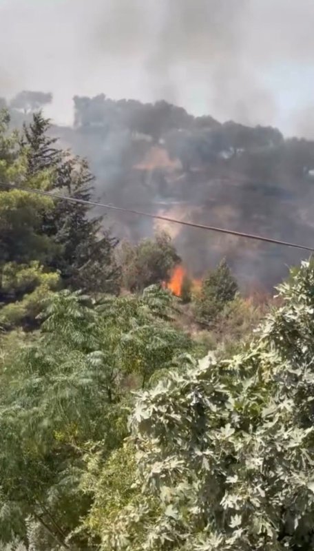 Hatay'da çıkan orman yangını büyümeden söndürüldü