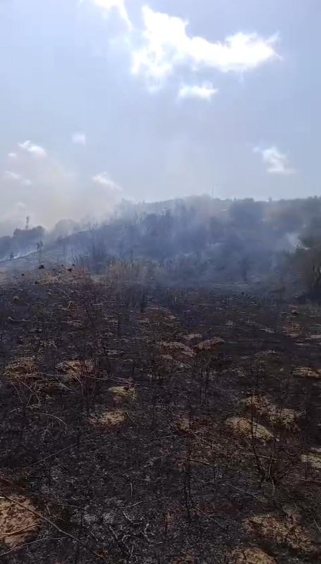 Hatay'da çıkan orman yangını büyümeden söndürüldü