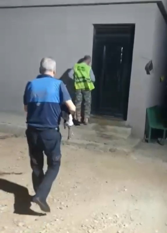 Reyhanlı’da bitkin halde bulunan leylek, zabıta ekiplerince koruma altına alındı