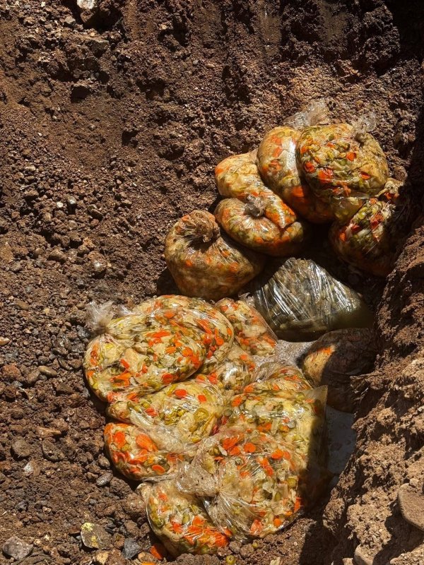 İnsan sağlığını tehdit eden kilolarca turşu imha edildi