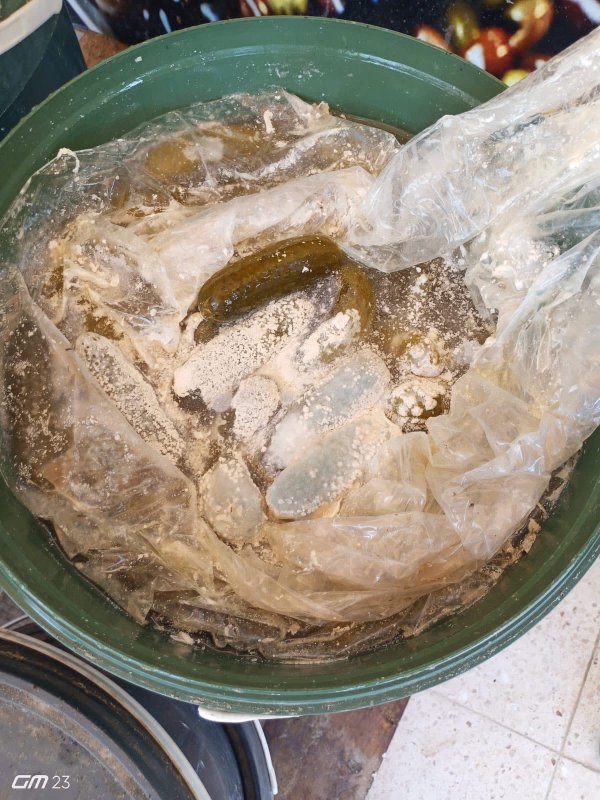 İnsan sağlığını tehdit eden kilolarca turşu imha edildi