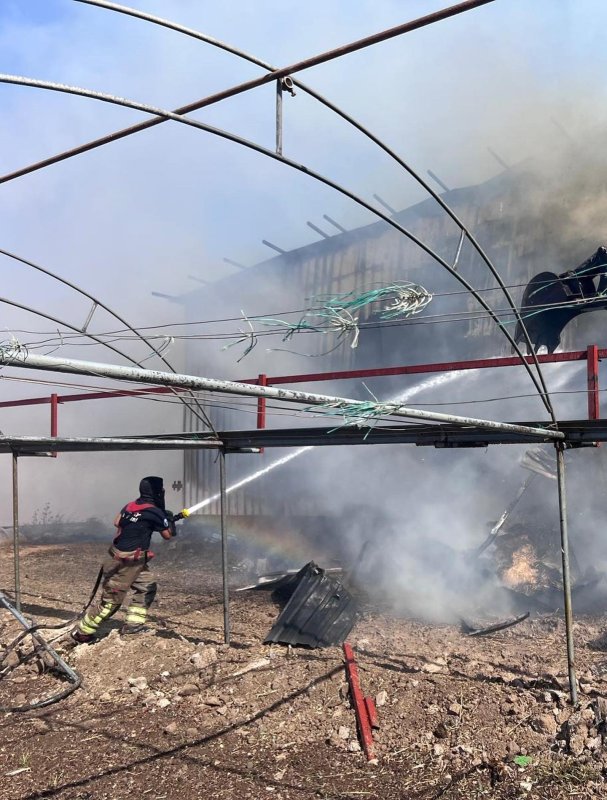 Çiftlikte çıkan yangında saman balyaları alevlere teslim oldu