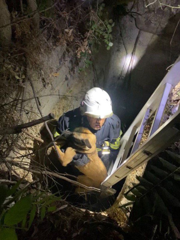Kuyuya düşen köpeği itfaiye kurtardı
