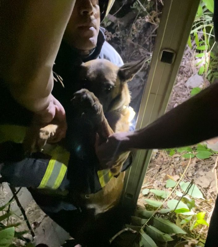 Kuyuya düşen köpeği itfaiye kurtardı