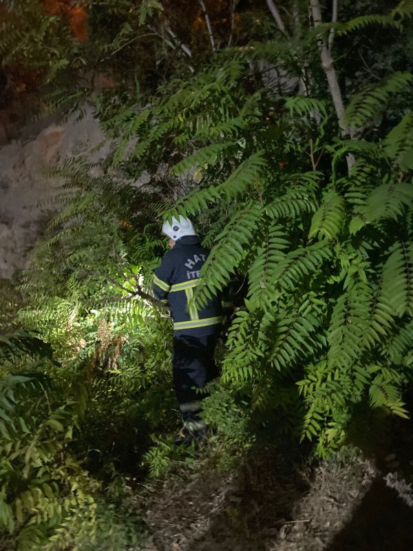 Kuyuya düşen köpeği itfaiye kurtardı