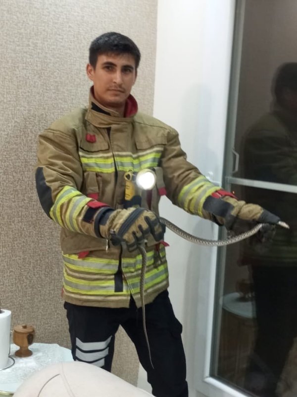 Erzin ve İskenderun'da eve giren yılanları itfaiye yakaladı