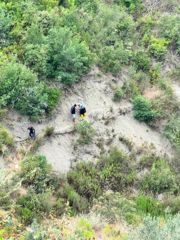 Ormanlık alanda mahsur kalan alzheimer hastası kurtarıldı (Fotoğraflı) İlayda Korkmaz HATAY (İHA) - Hatay’ın Belen ilçesinde ormanlık alanda düşerek mahsur kalan alzheimer hastası vatandaş, itfaiye ekiplerinin müdahalesiyle kurtarılarak sağlık ekiplerine teslim edildi. Olay, Belen ilçesine bağlı Müftüler Mahallesi’ndeki ormanlık alanda meydana geldi. Bölgede düşerek mahsur kalan alzheimer hastası vatandaşın yardımına ekipler sevk edildi. Kısa sürede bölgeye ulaşan itfaiye ekiplerinin koordineli çalışmayla vatandaş bulunduğu yerden sağ salim kurtardı. Sağlık ekiplerine teslim edilen vatandaşa geçmiş olsun dilekleri iletildi.