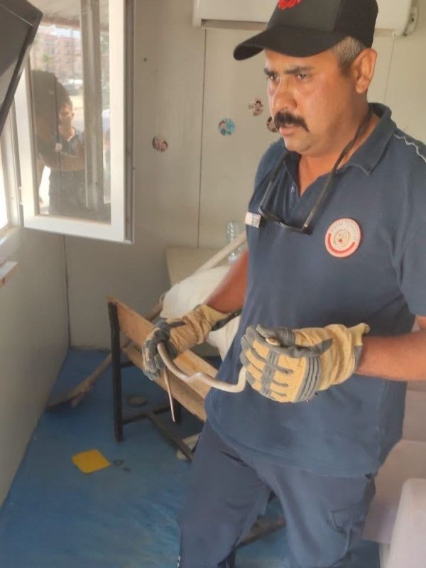 Hatay'da yerleşim yerlerine giren yılanlar yakalandı (Fotoğraflı) İlayda Korkmaz HATAY (İHA) - Hatay’ın Kumlu ve Kırıkhan ilçelerinde yerleşim yerlerinde görülen yılanlar, itfaiyenin çalışmasıyla zarar verilmeden yakalanarak doğal yaşam alanlarına bırakıldılar. Havaların ısınmasıyla birlikte yerleşim yerlerinde görülen yılanlar için ekipler tarafından çalışma gerçekleştirildi. Kumlu ve Kırıkhan ilçelerinde yapılan müdahalelerde yılanlar ekipler tarafından güvenli şekilde yakalandı. Yakalanan yılanların herhangi bir zarar verilmeden doğal yaşam alanlarına bırakıldığı bildirildi.