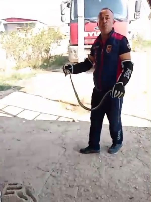 Hatay'da yerleşim yerlerine giren yılanlar yakalandı (Fotoğraflı) İlayda Korkmaz HATAY (İHA) - Hatay’ın Kumlu ve Kırıkhan ilçelerinde yerleşim yerlerinde görülen yılanlar, itfaiyenin çalışmasıyla zarar verilmeden yakalanarak doğal yaşam alanlarına bırakıldılar. Havaların ısınmasıyla birlikte yerleşim yerlerinde görülen yılanlar için ekipler tarafından çalışma gerçekleştirildi. Kumlu ve Kırıkhan ilçelerinde yapılan müdahalelerde yılanlar ekipler tarafından güvenli şekilde yakalandı. Yakalanan yılanların herhangi bir zarar verilmeden doğal yaşam alanlarına bırakıldığı bildirildi.