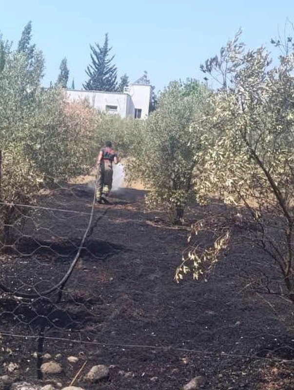 Dörtyol’da bahçe yangını kontrol altına alındı (Fotoğraflı) Esma Kural HATAY (İHA) - Hatay’ın Dörtyol ilçesinde bahçede çıkan yangın çevreye sıçramadan kontrol altına alındı. Yangın; Dörtyol ilçesine bağlı Kuzuculu Mahallesi’nde bulunan bahçede yaşandı. İhbar üzerine bölgeye sevk edilen ekiplerin hızlı müdahalesiyle yangın geniş alana sirayet etmeden kısa sürede kontrol altına alındı. Bölgede ekipler tarafından soğutma çalışması gerçekleştirildi. Yangında bahçede zarar gördü.