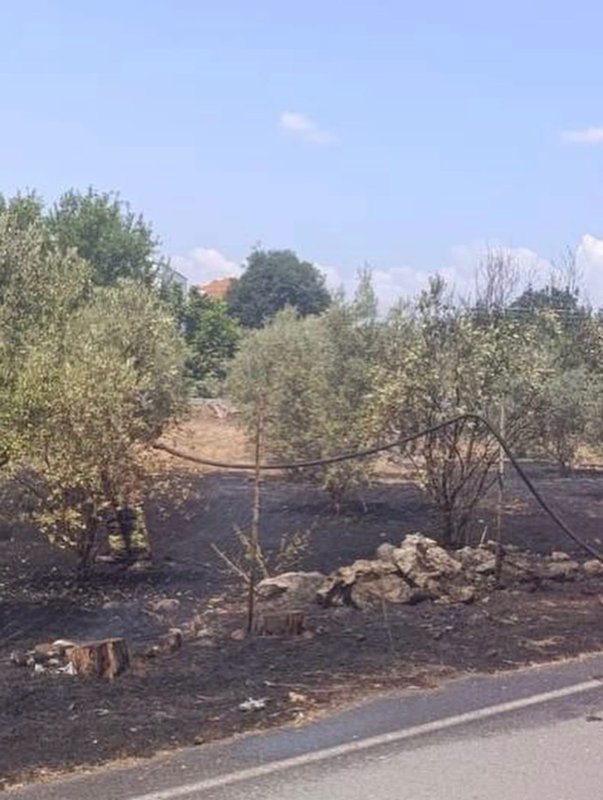 Dörtyol’da bahçe yangını kontrol altına alındı (Fotoğraflı) Esma Kural HATAY (İHA) - Hatay’ın Dörtyol ilçesinde bahçede çıkan yangın çevreye sıçramadan kontrol altına alındı. Yangın; Dörtyol ilçesine bağlı Kuzuculu Mahallesi’nde bulunan bahçede yaşandı. İhbar üzerine bölgeye sevk edilen ekiplerin hızlı müdahalesiyle yangın geniş alana sirayet etmeden kısa sürede kontrol altına alındı. Bölgede ekipler tarafından soğutma çalışması gerçekleştirildi. Yangında bahçede zarar gördü.