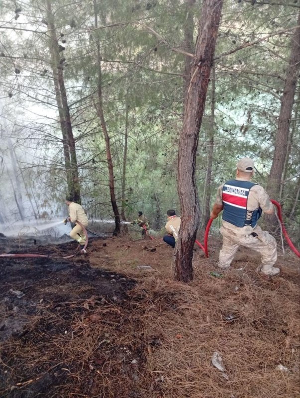 Yayladağı’nda ormanlık alan yangını kontrol altına alındı (Fotoğraflı) İlayda Korkmaz HATAY (İHA) - Hatay’ın Yayladağı ilçesinde ormanlık alanda çıkan yangın, Orman Genel Müdürlüğü (OGM) ve HBB İtfaiye Dairesi Başkanlığı ekiplerinin müdahalesiyle geniş alana sirayet etmeden kontrol altına alındı. Yangın, Yayladağı Baraj Bölgesi’nde meydana geldi. İhbar üzerine bölgeye OGM ve itfaiye ekipleri sevk edildi. Ekiplerin hızlı ve koordineli müdahalesiyle yangın kısa sürede kontrol altına alınarak geniş alana yayılması önlendi. Yangının ardından bölgede soğutma çalışması gerçekleştirildi.