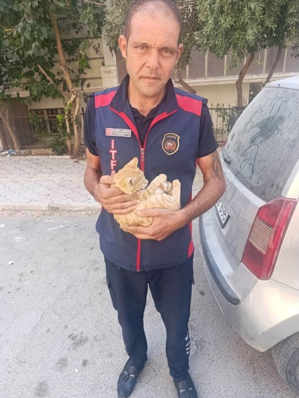 Reyhanlı ve Defne'de mahsur kalan kediler kurtarıldı (Fotoğraflı) Ahmet ARslan HATAY (İHA) - Hatay'ın Reyhanlı ve Defne ilçelerinde mahsur kalan kediler, ekiplerin müdahalesiyle güvenli şekilde kurtarıldı. Reyhanlı'da park halindeki bir aracın motor bölümüne girerek mahsur kalan kedi, ekiplerin çalışmasıyla bulunduğu yerden çıkarıldı. Defne'de de mahsur kalan bir başka kedi, ekiplerin müdahalesiyle güvenli şekilde kurtarıldı. Kurtarılan kedilerin sağlık durumlarının iyi olduğu öğrenildi.