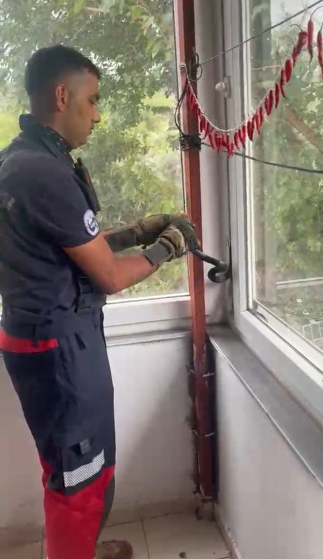 Eve giren yılan pencere arasına sıkıştı (Fotoğraflı) Esma Kural HATAY (İHA) - Hatay’ın Dörtyol ilçesinde bir evin pencere arasına sıkışan yılan, itfaiye ekiplerin müdahalesiyle kurtarıldı. Olay, Dörtyol ilçesi Ocaklı Mahallesi’nde meydana geldi. Evin pencere arasına yılan sıkıştığını fark eden vatandaşların ihbarı üzerine bölgeye ekipler sevk edildi. Ekiplerin titiz çalışması sonucu yılan bulunduğu yerden çıkarıldı. Kurtarılan yılan, doğal yaşam alanına bırakıldı. Yılanın kurtarılmasıyla ev sahibi rahat nefes aldı. Yılanın yakalandığı anlarsa kameraya yansıdı.