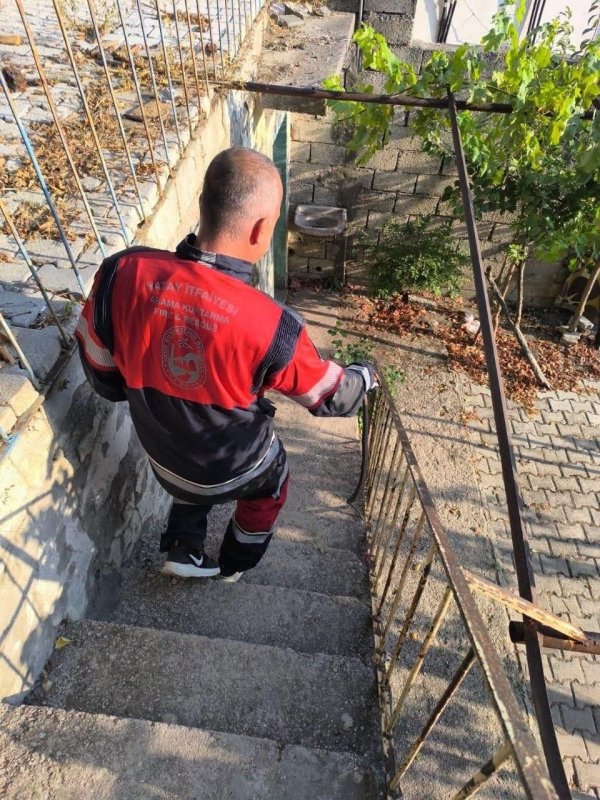 Hatay'da yerleşim yerlerinde görülen yılanlar doğal yaşam alanına bırakıldı (Fotoğraflı) İlayda Korkmaz HATAY (İHA) - Hatay’ın Antakya ve Yayladağı ilçelerinde yerleşim yerlerinde görülen yılanlar, ekiplerin müdahalesiyle zarar verilmeden yakalanarak doğal yaşam alanlarına bırakıldı. Havaların ısınmasıyla birlikte yerleşim yerlerinde sıklıkla yılanlar görülmeye başlandı. Yılanları kendi imkanlarıyla yakalayamayan vatandaşlar için ekipler çalışma gerçekleştirdi. İtfaiye tarafından titiz çalışmayla yakalanan yılanlar, güvenli şekilde doğal yaşam alanlarına bırakıldı.