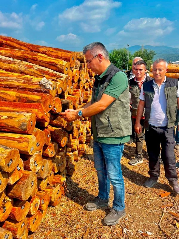 Dörtyol’da orman işletmesinin çalışmaları değerlendirildi (Fotoğraflı) Esma Kural HATAY (İHA) - Hatay’ın Dörtyol ilçesinde Orman İşletme Müdürlüğünde üretim faaliyetleri ve hedeflere ilişkin değerlendirmelerde bulunuldu. Dörtyol İşletme Müdürlüğünde gerçekleştirilen görüşmelerde üretim faaliyetleri ve hedefler ele alındı. Kuzuculu Orman Deposunda barkodlama ve istifleme çalışmaları yerinde incelendi. Program kapsamında Kuzuculu Yangın Ekibinde nöbet tutan yangın ekipleri ziyaret edilerek çalışmalar hakkında bilgi alındı.