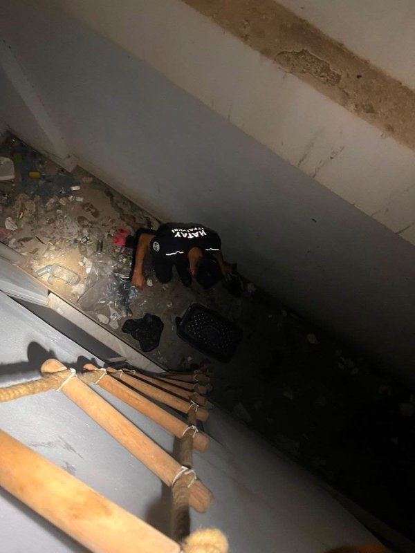 Hatay'da mahsur kalan hayvanlar kurtarıldı (Fotoğraflı) İlayda Korkmaz HATAY (İHA) - Hatay’ın Reyhanlı, İskenderun, Samandağ ve Defne ilçelerinde çeşitli nedenlerle mahsur kalan hayvanlar, itfaiye ekiplerinin müdahalesiyle kurtarıldı. İlçelerin farklı noktalarında mahsur kalan sokak hayvanları için ekipler tarafından çalışma başlatıldı. Ekiplerin titiz ve koordineli çalışmasıyla hayvanlar bulundukları yerlerden sağlıklı şekilde kurtarıldı. Kurtarılan hayvanların güvenli şekilde yaşam alanlarına bırakıldığı bildirildi.