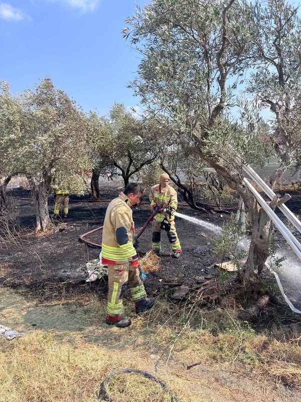 Defne’de zeytinlik alanda yangın yaşandı (Fotoğraflı) İlayda Korkmaz HATAY (İHA) - Hatay’ın Defne ilçesinde zeytinlik alanda çıkan yangın, ekiplerin hızlı müdahalesiyle geniş alana yayılmadan kontrol altına alındı. Yangın, Defne ilçesi Tavla Mahallesi’nde meydana geldi. İhbar üzerine bölgeye itfaiye ekipleri sevk edildi. Ekiplerin hızlı müdahalesiyle yangın kısa sürede kontrol altına alınırken, alevlerin geniş alana sirayet etmesi önlendi. Yangının kontrol altına alınmasının ardından bölgede soğutma çalışması gerçekleştirildi. Yanan zeytinlik alan zarar gördü.