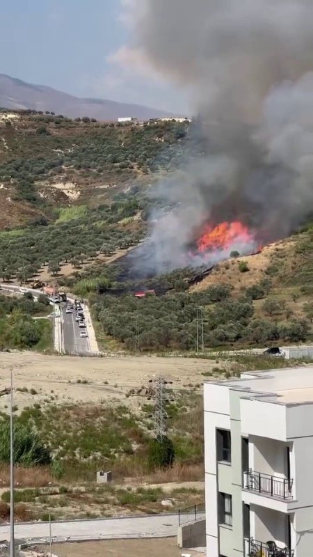 Zeytinlikte yükselen alevler korkuttu  (Fotoğraflı)  İlayda Korkmaz HATAY (İHA) - Hatay'da alevlere teslim olan zeytinlikte çıkan yangın çevreye ve evlere sıçramadan söndürüldü. Yangın; Antakya ilçesi Kisecik Mahallesi’nde deprem konutları mevkiinde bulunan zeytin bahçesinde çıktı. Zeytinlikte çıkan yangında alevler kısa sürede yükseldi. İhbar üzerine bölgeye itfaiye ve orman bölge müdürlüğü ekipleri sevk edildi. Yangın, ekiplerin hızlı müdahalesiyle çevredeki diğer zeytinliklere ve evlere sıçramadan kontrol altına alındı. Yangında zeytinlik zarar görürken korku dolu alevlerin yükseldiği anlar kameraya yansıdı. Alevlerin yükseldiği anları anlatan Dursun Ezder, "Bir anda yangın çıktı ve alevler yükseldi. Alevlerle birlikte itfaiye gelip müdahale etti. Çok şükür fazla bir zarar görülmedi. Yangın rüzgar az olduğu için büyümeden kontrol altına alındı" dedi.
