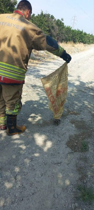 Hatay’da eve giren yılan yakalandı