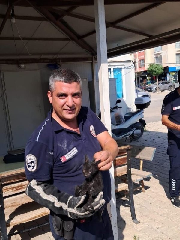 Antakya ve İskenderun’da araçlarda mahsur kalan kediler kurtarıldı (Fotoğraflı) İlayda Korkmaz HATAY (İHA) - Hatay’da 2 farklı noktada araç motorunda mahsur kalan kediler kurtarıldı. Antakya ve İskenderun ilçelerinde farklı noktalarda araçlarının motor kısımlarına kedi giren vatandaşlar itfaiye yardım istediler. İhbarlar üzerine bölgelere sevk edilen ekipler, mahsur kalan hayvanları titiz çalışmalar sonucunda bulundukları yerlerden kurtardı. Hayvanlar, gerekli kontrollerin ardından doğal yaşam alanlarına bırakıldı.