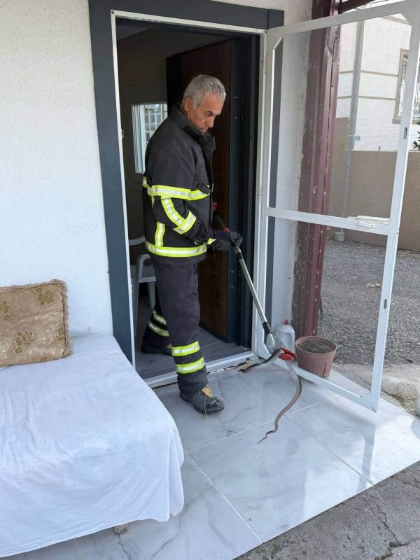 Arsuz’da eve giren yılanı itfaiye yakaladı