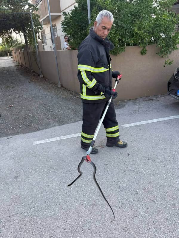 Arsuz’da eve giren yılanı itfaiye yakaladı