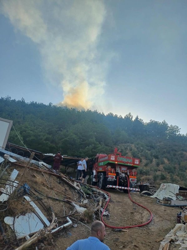 Hassa’da ormanlık alan yangını kontrol altına alındı (Fotoğraflı) Yakup Söylemez HATAY (İHA) - Hatay’ın Hassa ilçesinde çıkan ormanlık alan yangını, ekiplerin havadan ve karadan müdahalesiyle geniş alana yayılmadan kontrol altına alındı. Yangın, Söğüt Mahallesi’nde meydana geldi. Orman Genel Müdürlüğü (OGM) ile Hatay Büyükşehir Belediyesi (HBB) İtfaiye ekiplerinin havadan ve karadan koordineli müdahalesiyle yangın kısa sürede kontrol altına alındı. Bölgede soğutma çalışması gerçekleştirildi. Yangında alan zarar gördü.