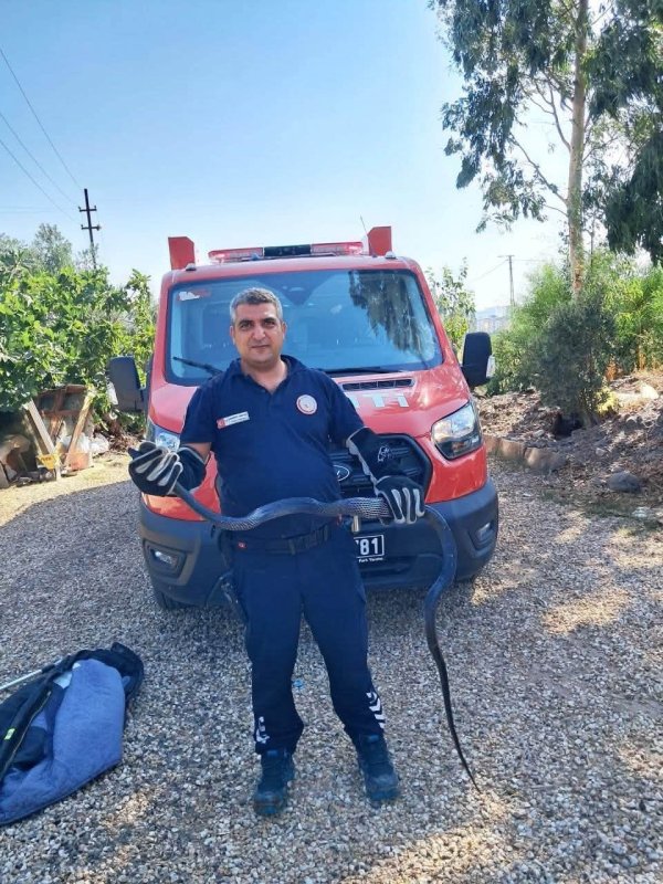 Evin bahçesine giren 2 metrelik yılan korkuttu (Fotoğraflı) Aykut Taştan HATAY (İHA) - Hatay'da evin bahçesine giren yaklaşık 2 metrelik kara yılanı itfaiye ekipleri yakaladı. Antakya ilçesi Serinyol Mahallesi'nde bulanan müstakil evin bahçesinde yılan gören vatandaşlar durumu itfaiye ekiplerine bildirdi. Yılan, itfaiye ekiplerinin çalışmasıyla zarar verilmeden yakalanarak doğal yaşam alanına bırakıldı. Yılanın yaklaşık 2 metre uzunluğunda ve siyah olduğu görüldü. Yılanın yakalanmasıyla ev sakinleri rahat nefes aldı.