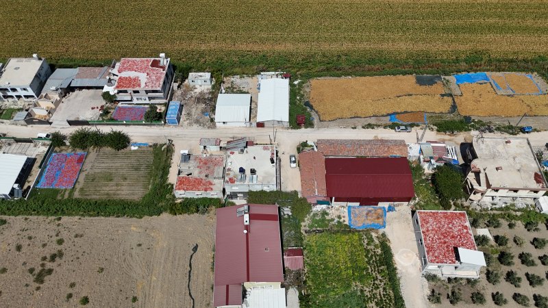 Kavurucu sıcakta devam eden acı mesaiyle birlikte damlar kırmızıya büründü