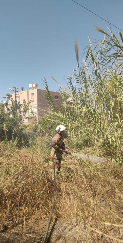 Alevlerin içerisinde kalan kaplumbağaya itfaiyeciden can suyu (Fotoğraflı) Neslihan Zerenli HATAY (İHA) - Hatay'ın İskenderun ilçesinde otluk alanda çıkan yangında alevlerin içerisinden kurtarılan kaplumbağaya itfaiye ekipleri can suyu verdi. Yangın, İskenderun ilçesi Çınarlı Mahallesi'nde bulunan otluk alanda çıktı. Yangını gören vatandaşların durumu 112 Acil Çağrı Merkezi'ne bildirmesi üzerine olay yerine itfaiye ekipleri sevk edildi. Kısa sürede bölgeye gelen Hatay Büyükşehir Belediyesine bağlı itfaiye ekipleri, yangına müdahale ederek söndürdü. Yangını söndürme esnasında ekipler, otluk alanda bulunan kaplumbağayı yanmaktan son anda kurtarıldı. Ekipler kurtardığı kaplumbağaya su vermesinin ardından doğal yaşam alanına bırakıldı.