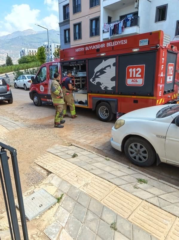 İskenderun ve Yayladağı’nda yerleşim yerlerine giren yılanlar yakalandı (Fotoğraflı) İlayda Korkmaz HATAY (İHA) - Hatay’ın İskenderun ve Yayladağı ilçelerinde yerleşim yerlerinde görülen yılanlar, ekiplerin müdahalesiyle zarar verilmeden yakalanarak doğal yaşam alanlarına bırakıldı. İskenderun ve Yayladağı ilçelerinde farklı yerleşim noktalarında yılanların görülmesi üzerine ekipler çalışma başlattı. Ekiplerin titiz müdahalesiyle yılanlar güvenli şekilde yakalandı. Yakalanan yılanlar, vatandaşlar ve hayvanlar açısından herhangi bir risk oluşturmayacak şekilde doğal yaşam alanlarına bırakıldı. Ekiplerin, yerleşim yerlerinde görülen yılanlara yönelik çalışmalarını sürdürdüğü belirtildi.
