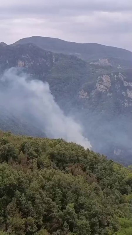 Hatay'da orman yangını: Ekiplerin müdahalesi başladı (Fotoğraflı - Görüntülü) Esma Kural HATAY (İHA) - Hatay'da Gürlevik yaylası mevkiinde ormanlık alanda çıkan yangına ekiplerin müdahalesi başladı. Yangın, Dörtyol ilçesi Rabat Mahallesi Gürlevik Yaylası'nda ormanlık alanda çıktı. İhbar üzerine bölgeye itfaiye ve orman bölge ekipleri sevk edildi. Yangına ekipler tarafından havadan ve karadan müdahale ediliyor. Yangının kontrol altına alınması için çalışmaların sürdüğü öğrenildi.