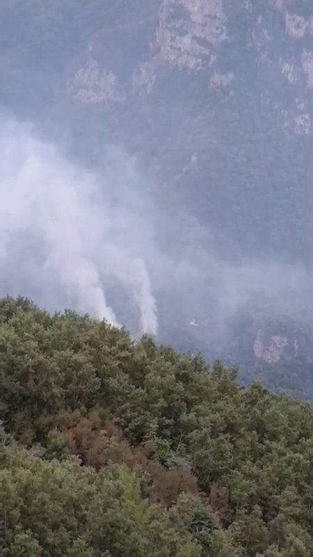 Hatay'da orman yangını: Ekiplerin müdahalesi başladı (Fotoğraflı - Görüntülü) Esma Kural HATAY (İHA) - Hatay'da Gürlevik yaylası mevkiinde ormanlık alanda çıkan yangına ekiplerin müdahalesi başladı. Yangın, Dörtyol ilçesi Rabat Mahallesi Gürlevik Yaylası'nda ormanlık alanda çıktı. İhbar üzerine bölgeye itfaiye ve orman bölge ekipleri sevk edildi. Yangına ekipler tarafından havadan ve karadan müdahale ediliyor. Yangının kontrol altına alınması için çalışmaların sürdüğü öğrenildi.