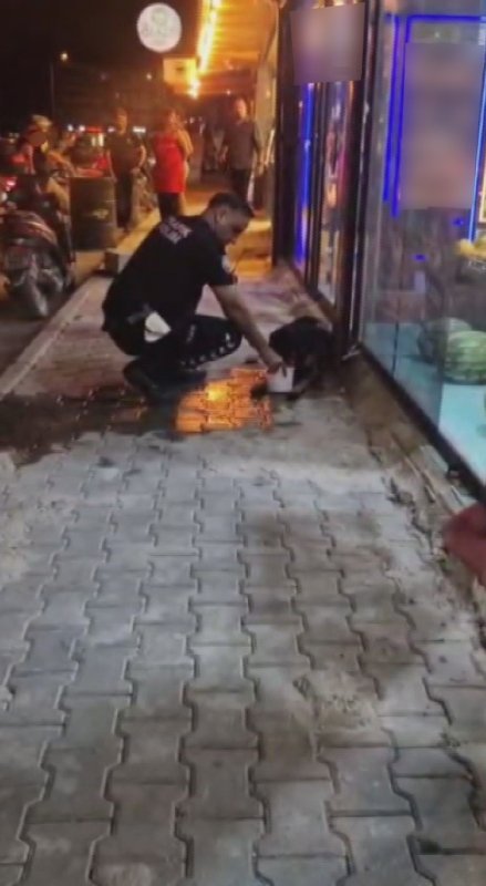 Silahla vurulan sokak köpeğine polis ekipleri sahip çıktı (Fotoğraflı) Ramazan İlın HATAY (İHA) - Hatay'ın Samandağ ilçesinde silahla vurularak yaralanan sokak köpeğine polis ekipleri sahip çıktı. Devriye sırasında yaralı köpeği fark eden ekipler, hayvanı tedavi edilmek üzere veterinere götürdü. Olay, Samandağ ilçesi Atatürk Mahallesi'nde meydana geldi. Devriye görevi yapan polis ekipleri, yol kenarında yaralı halde yatan sokak köpeğini fark etti. Yaralı köpeğin yarasına bakan polis ekipleri, köpeğin silahla vurulduğunu belirledi. Polis ekipleri silahla vurulan yaralı köpeği, tedavi edilmesi için veterinere götürdü. Köpeği silahla yaralayan şüpheli ya da şüphelilerin yakalanması için çalışma başlatan polis ekiplerinin olayla ilgili soruşturmasının sürdüğü öğrenildi. Öte yandan köpeğin veterinerdeki tedavisinin sürdüğü öğrenildi.