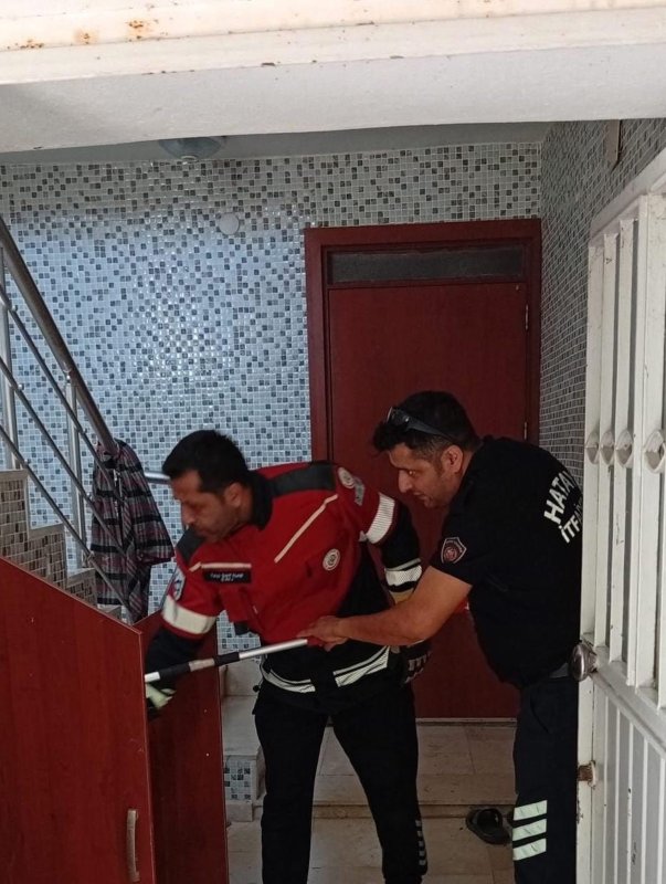 Samandağ’da yerleşim yerinde görülen yılan yakalanarak doğaya bırakıldı (Fotoğraflı) İlayda Korkmaz HATAY (İHA) - Hatay’da yerleşim yeri içerisinde görülen yılan, ekiplerin çalışmasıyla zarar verilmeden yakalandı. Yılan, daha sonra doğal yaşam alanına bırakıldı. Samandağ ilçesi Ataköy Mahallesi’nde yerleşim alanında yılan görülmesi üzerine ekipler bölgeye yönlendirildi. Çalışma sırasında yılanın bulunduğu yer tespit edildi. Ekiplerin titiz çalışması sonucunda yılan, herhangi bir zarar verilmeden yakalandı. Yakalanan yılan daha sonra yerleşim alanından uzaklaştırılarak doğal yaşam alanına bırakıldı.
