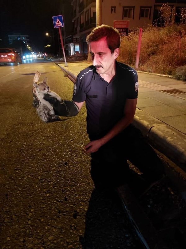 İskenderun’da mahsur kalan hayvanlar ekipler tarafından kurtarıldı (Fotoğraflı) İlayda Korkmaz HATAY (İHA) - Hatay’ın İskenderun ilçesinde farklı noktalarda mahsur kalan hayvanlar, itfaiye ekiplerinin çalışmasıyla kurtarıldı. Hayvanlar güvenli şekilde bulundukları yerlerden çıkarıldı. İskenderun’un farklı noktalarında mahsur kalan hayvanların kurtarılması amacıyla itfaiye ekipleri tarafından çalışma başlatıldı. Yapılan müdahaleler sonucunda hayvanlar bulundukları alanlardan güvenli şekilde çıkarıldı. Ekiplerin çalışmasıyla kurtarılan hayvanların sağlık ve güvenliklerinin sağlandığı bildirildi.