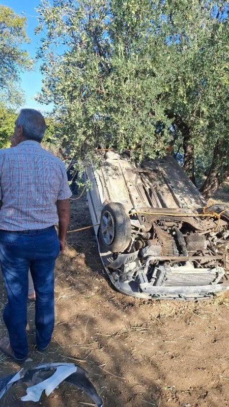 Altınözü’nde otomobil zeytinliğe uçtu: 1 yaralı (Fotoğraflı) Ahmet Arslan HATAY (İHA) - Hatay'da sürücüsünün direksiyon hakimiyetini kaybetmesiyle zeytin bahçesine uçan otomobilin sürücüsü yaralandı. Kaza; Altınözü ilçesi Oymaklı Mahallesi’nde yaşandı. Sürücüsünün kontrolünü kaybettiği otomobil, kontrolden çıkarak zeytin bahçesine uçtu. Kazada ters dönerek zeytin ağacının üzerinde duran otomobilin sürücüsü S.B. yaralandı. Yaralı sürücü itfaiye ekipleri tarafından kurtarılarak hastanede tedavi altına alındı. Sürücünün sağlık durumunun iyi olduğu öğrenildi. Jandarma ekipleri kazayla ilgili inceleme başlattı.