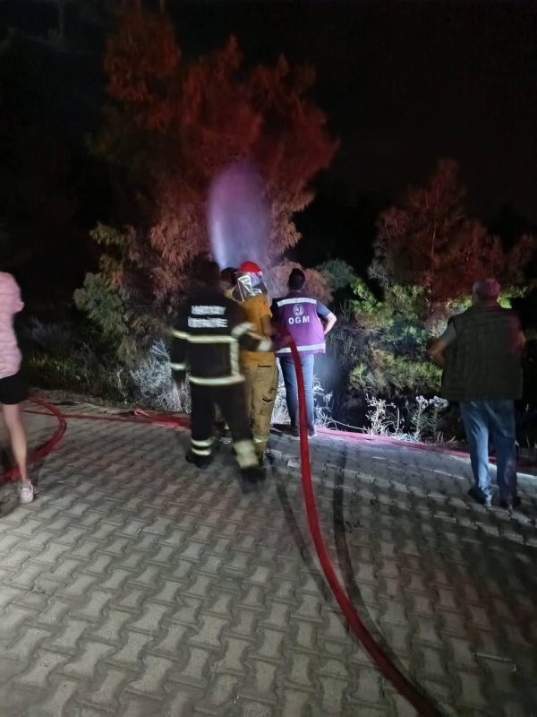 Havai fişeğin düştüğü ormanlık alandan alevler yükseldi (Fotoğraflı) Neslihan Zerenli HATAY (İHA) - Hatay'da ilk belirlemelere göre havai fişeğin isabet ettiği ormanlık alanda yangın çıktı. Alevler, itfaiye ve Orman Bölge Müdürlüğü ekipleri tarafından büyümeden kontrol altına alındı. Yangın, Arsuz ilçesi Hüyük Mahallesi'nde ormanlık alanda meydana geldi. Alevlerin fark edilmesi üzerine bölgeye itfaiye ve Orman Bölge Müdürlüğü ekipleri sevk edildi. Alevler, ekiplerin hızlı ve koordineli müdahalesiyle geniş bir alana sirayet etmeden kontrol altına alındı. Yangında ormanlık alan zarar görürken, soğutma çalışmasının devam ettiği öğrenildi. İlk belirlemelere göre yangına vatandaşlar tarafından atılan havai fişeğin neden olduğu ve jandarma ekiplerinin konuyla ilgili çalışma başlattığı öğrenildi.