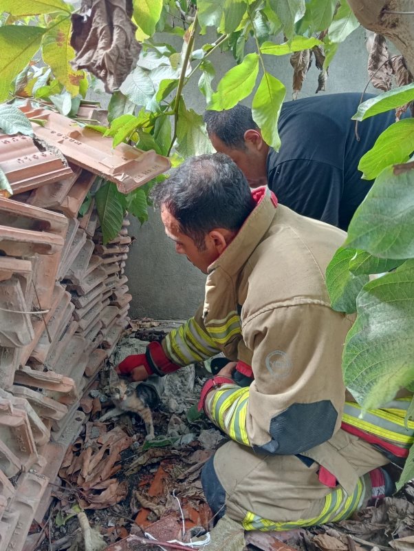 Vanaya sıkışarak mahsur kalan yavru kedi, itfaiye ekiplerinin çalışmasıyla kurtarıldı (Fotoğraflı - Görüntülü) Neslihan Zerenli HATAY (İHA) - Hatay'da girdiği borunun vanasında sıkışarak mahsur kalan yavru kedi, itfaiye ekiplerinin uzun süren çalışmasıyla kurtarıldı. İskenderun ilçesi Sakarya Mahallesi’nde bulunan havuzun borusuna girmeye çalışan yavru kedi, vana içerisinde sıkışarak mahsur kaldı. Yavru kedinin miyavlamasını duyan vatandaşlar, kendi imkanlarıyla kediyi kurtaramayınca durumu itfaiye ekiplerine bildirdi. İtfaiye ekipleri, bölgeye gelerek boruyu kesti ve kediyi çıkarmak için soluğu sanayide aldı. Sanayide vanaya yapılan müdahalenin ardından yavru kedi, sıkıştığı yerden çıkarıldı. Yavru kedi, sağlık kontrollerinin sağlanması için veteriner hekime teslim edildi. Yavru kedinin acı çekerken çıkardığı sesleri esnasında itfaiye ekiplerinin çalışmaları yürekleri ısıttı.