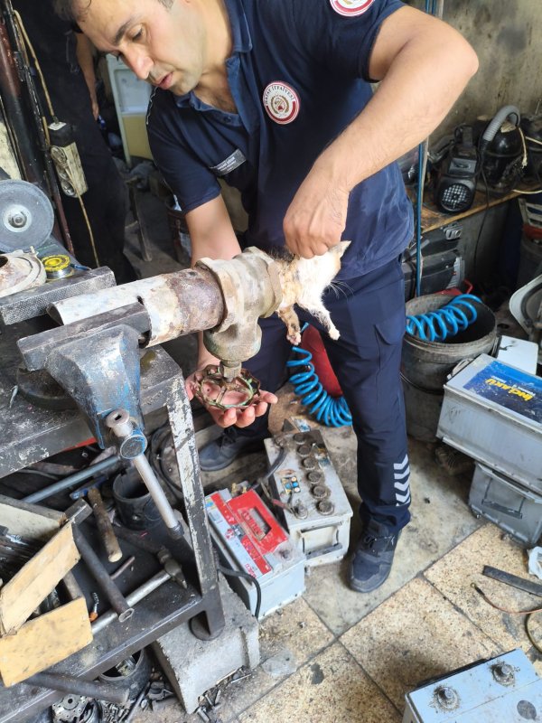 Vanaya sıkışarak mahsur kalan yavru kedi, itfaiye ekiplerinin çalışmasıyla kurtarıldı (Fotoğraflı - Görüntülü) Neslihan Zerenli HATAY (İHA) - Hatay'da girdiği borunun vanasında sıkışarak mahsur kalan yavru kedi, itfaiye ekiplerinin uzun süren çalışmasıyla kurtarıldı. İskenderun ilçesi Sakarya Mahallesi’nde bulunan havuzun borusuna girmeye çalışan yavru kedi, vana içerisinde sıkışarak mahsur kaldı. Yavru kedinin miyavlamasını duyan vatandaşlar, kendi imkanlarıyla kediyi kurtaramayınca durumu itfaiye ekiplerine bildirdi. İtfaiye ekipleri, bölgeye gelerek boruyu kesti ve kediyi çıkarmak için soluğu sanayide aldı. Sanayide vanaya yapılan müdahalenin ardından yavru kedi, sıkıştığı yerden çıkarıldı. Yavru kedi, sağlık kontrollerinin sağlanması için veteriner hekime teslim edildi. Yavru kedinin acı çekerken çıkardığı sesleri esnasında itfaiye ekiplerinin çalışmaları yürekleri ısıttı.