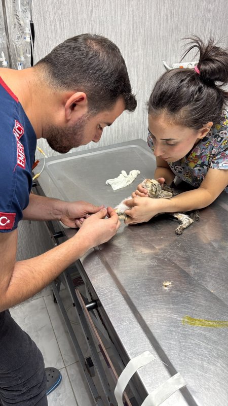 Vanaya sıkışarak mahsur kalan yavru kedi, itfaiye ekiplerinin çalışmasıyla kurtarıldı (Fotoğraflı - Görüntülü) Neslihan Zerenli HATAY (İHA) - Hatay'da girdiği borunun vanasında sıkışarak mahsur kalan yavru kedi, itfaiye ekiplerinin uzun süren çalışmasıyla kurtarıldı. İskenderun ilçesi Sakarya Mahallesi’nde bulunan havuzun borusuna girmeye çalışan yavru kedi, vana içerisinde sıkışarak mahsur kaldı. Yavru kedinin miyavlamasını duyan vatandaşlar, kendi imkanlarıyla kediyi kurtaramayınca durumu itfaiye ekiplerine bildirdi. İtfaiye ekipleri, bölgeye gelerek boruyu kesti ve kediyi çıkarmak için soluğu sanayide aldı. Sanayide vanaya yapılan müdahalenin ardından yavru kedi, sıkıştığı yerden çıkarıldı. Yavru kedi, sağlık kontrollerinin sağlanması için veteriner hekime teslim edildi. Yavru kedinin acı çekerken çıkardığı sesleri esnasında itfaiye ekiplerinin çalışmaları yürekleri ısıttı.