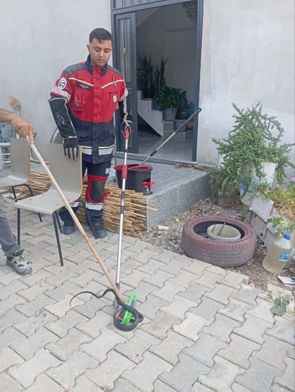 Antakya ve Hassa’da yerleşim yerlerinde görülen yılanlar yakalandı (Fotoğraflı) İlayda Korkmaz HATAY (İHA) -Hatay'ın Antakya ve Hassa ilçelerinde yerleşim yerlerinde görülen yılanlar, ekiplerin çalışmasıyla zarar verilmeden yakalanarak doğal yaşam alanlarına bırakıldı. Antakya ve Hassa ilçelerinde farklı noktalarda yerleşim yerlerine giren yılanlar görüldü. Yılanların görülmesi üzerine ekipler tarafından çalışma başlatıldı. Ekiplerin titiz çalışması sonucunda yakalanan yılanlar, herhangi bir zarar verilmeden kontrol altına alındı. Yakalanan yılanlar daha sonra doğal yaşam alanlarına bırakılarak yerleşim yerlerinden uzaklaştırıldı.