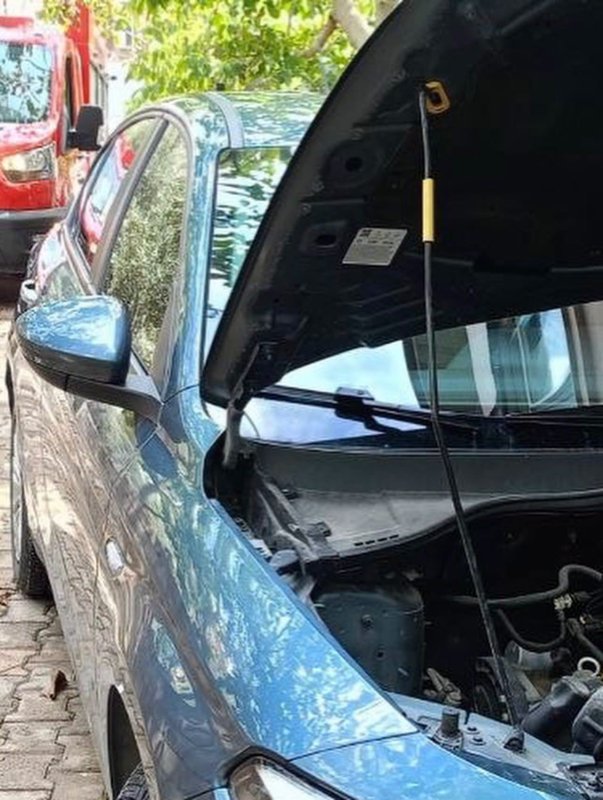 Belen ve Antakya’da mahsur kalan hayvanlar kurtarıldı