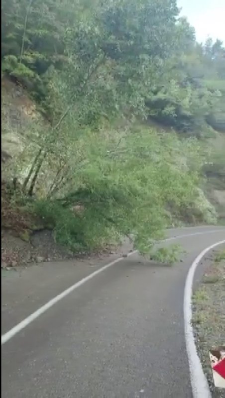 Yayla yolunda toprak kayması yaşandı (Fotoğraflı) Ferit Savaş HATAY (İHA) - Hatay'da etkili olan yağış sonrası sabah saatlerinde Dörtyol ilçesi Kocadüz yaylası yolunda yaşanan toprak kayması yolu ulaşıma kapattı. Meteorolojinin yağış uyarısında bulunduğu Hatay'da gece saatlerinde yağış etkili oldu. Yağışla birlikte Dörtyol ilçesi Kuzuculu Mahallesi Kocadüz yaylası mevkiinde toprak kayması yaşandı. Toprak kaymasıyla birlikte yol ulaşıma kapandı. Kapanan yolu kullanmak isterken toprak kaymasının yaşandığı alanı görüntüleyen vatandaş durumu anlattı.