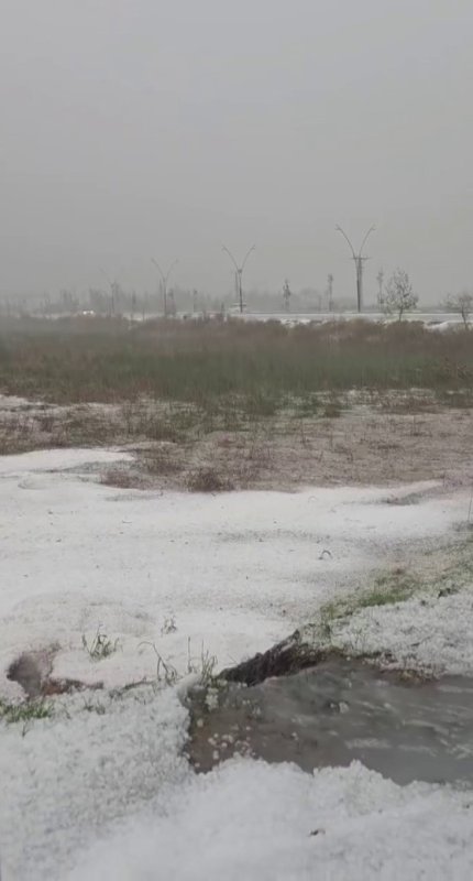 Hatay'da dolu yağışı çevreyi beyaza bürüdü (Fotoğraflı) Ferit Savaş HATAY (İHA) - Hatay'ın kıyı ilçesi olan Arsuz'da etkili olan dolu yağışı çevreyi beyaza bürüdü. Meteorolojinin sarı kodlu yağış uyarısında bulunduğu Hatay’ın kıyı ilçelerinde sabah saatlerinden itibaren yağışlı hava etkili oldu. Arsuz ilçesinde etkili olan kuvvetli ve kısa süreli dolu yağışıysa çevreyi beyaza bürüdü. Yağış sonrası oluşan dolu kitlesi adeta kar yağışını andırdı. Dolunun erimesiyle birlikteyse yollar göle döndü. Yağışlı havanın gün boyunca etkili olacağı öğrenildi.